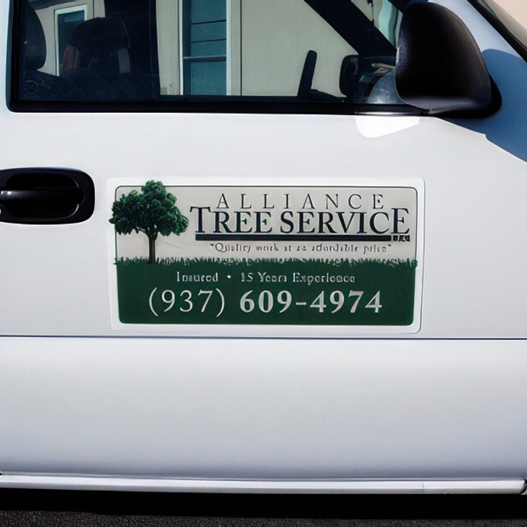 Promotional Vehicle Magnet